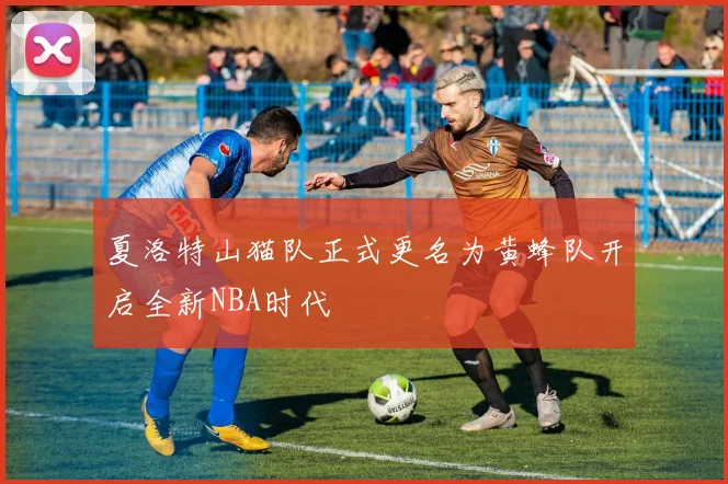 夏洛特山猫队正式更名为黄蜂队开启全新NBA时代