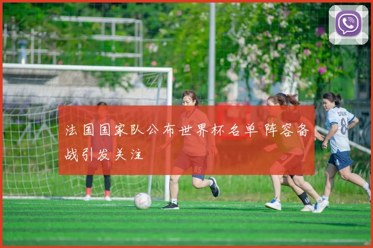 法国国家队公布世界杯名单 阵容备战引发关注