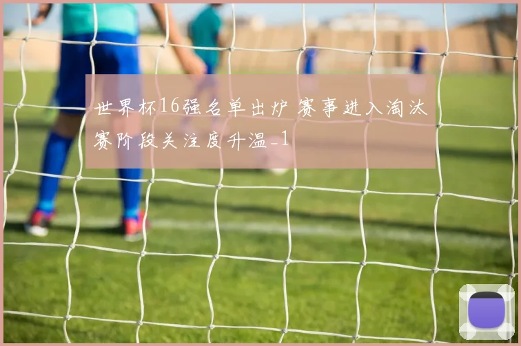 世界杯16强名单出炉 赛事进入淘汰赛阶段关注度升温_1