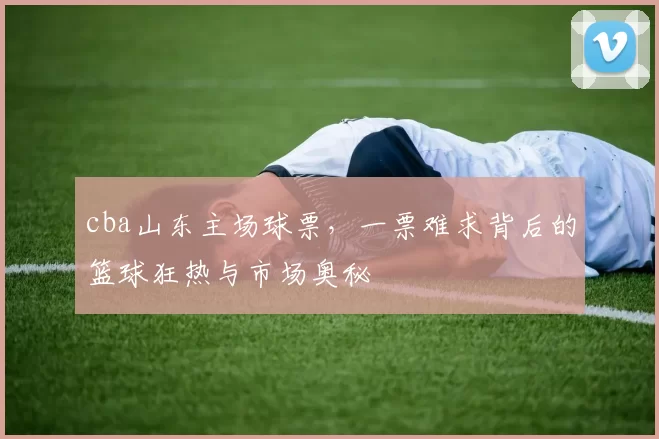 cba山东主场球票，一票难求背后的篮球狂热与市场奥秘